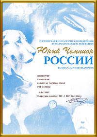 леонбергер
